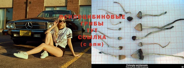 амфетамин Абинск